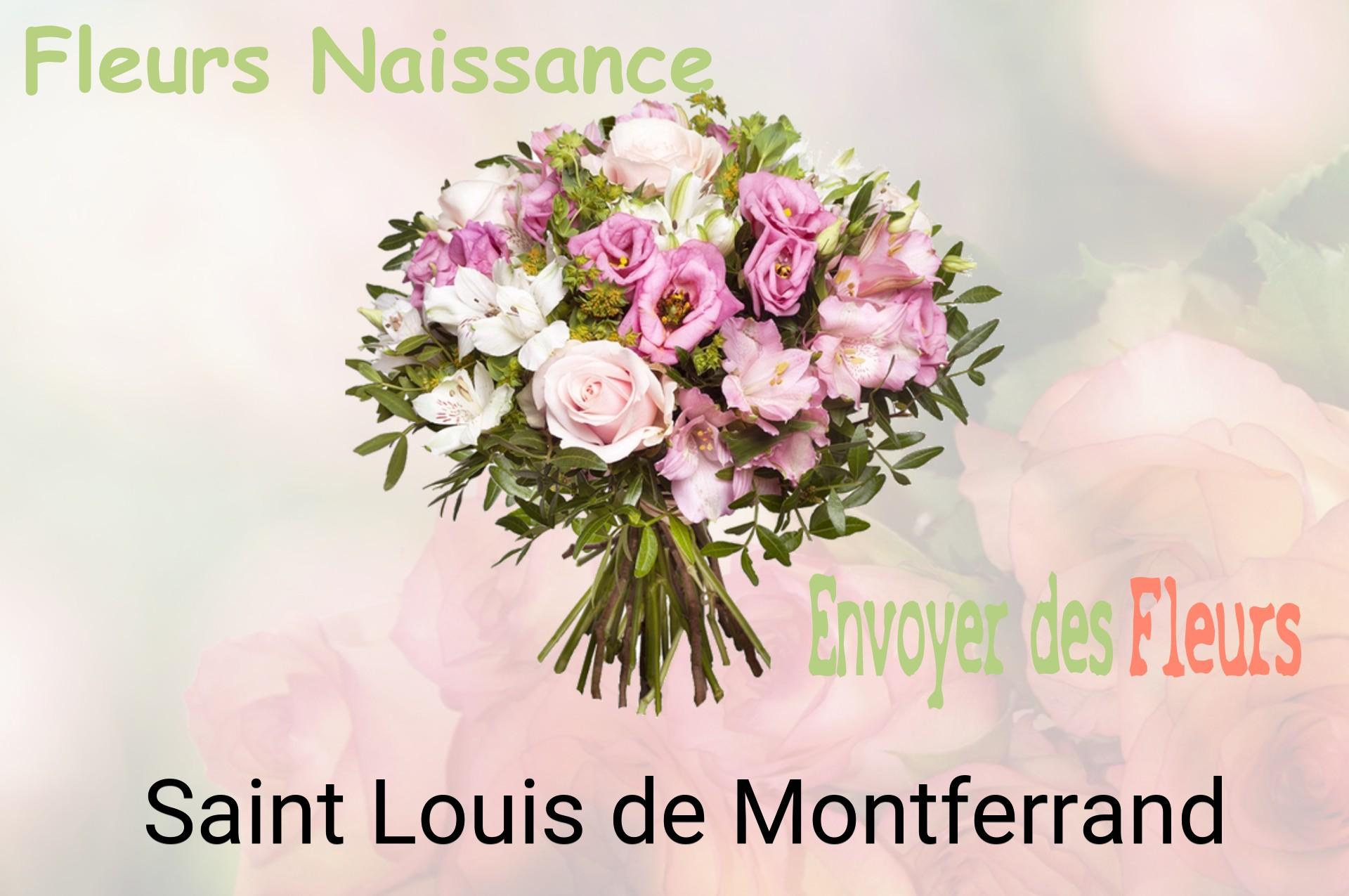 Bouquet de fleurs de naissance livré à Saint-Louis-de-Montferrand